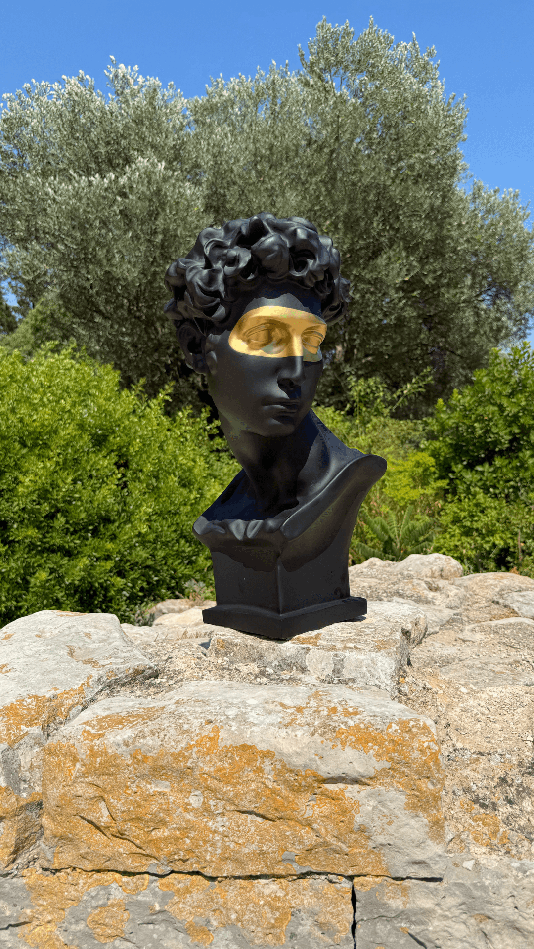 Busto de la estatua de David