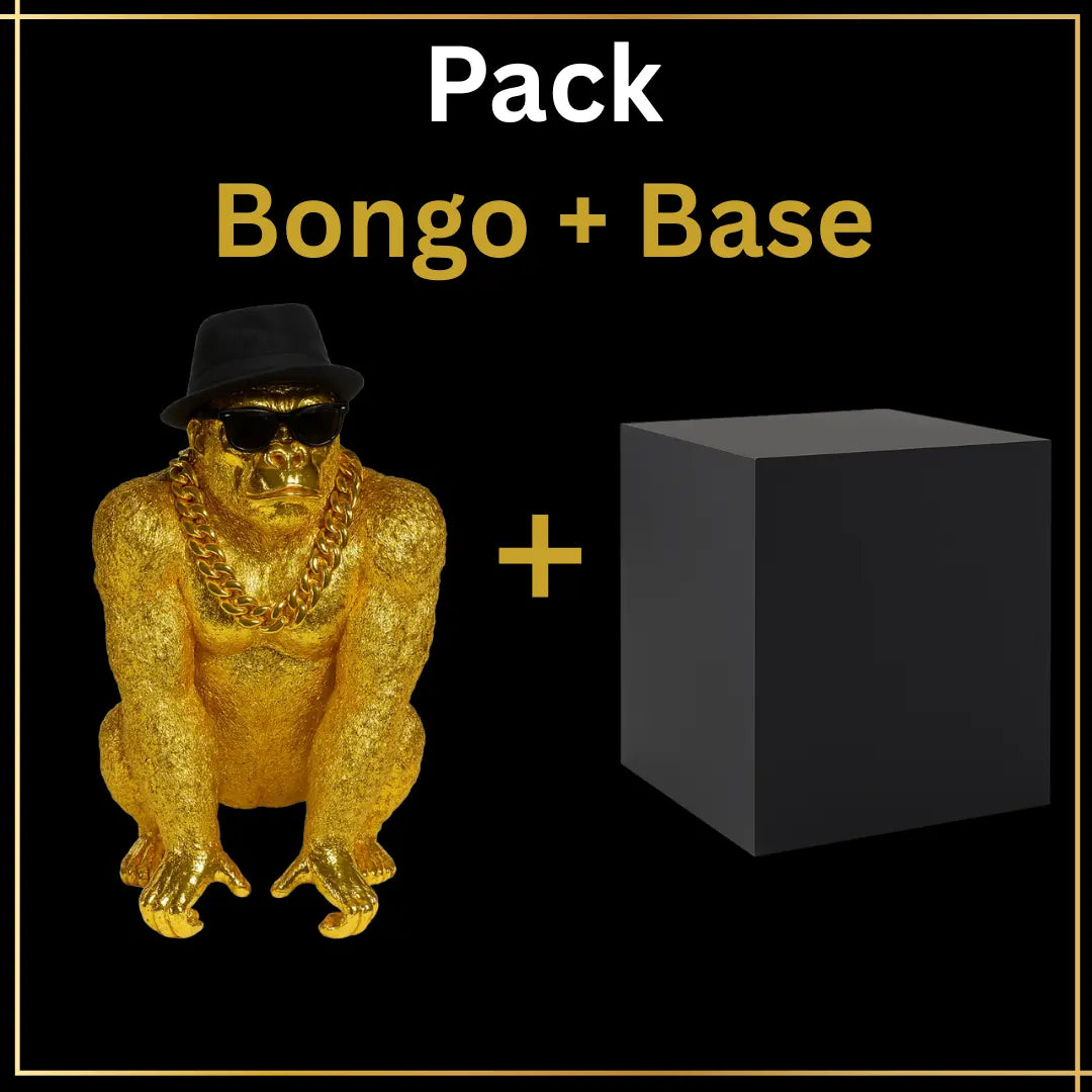 Lot Bongo + Base