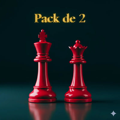 Lot 2 pièces d'échec
