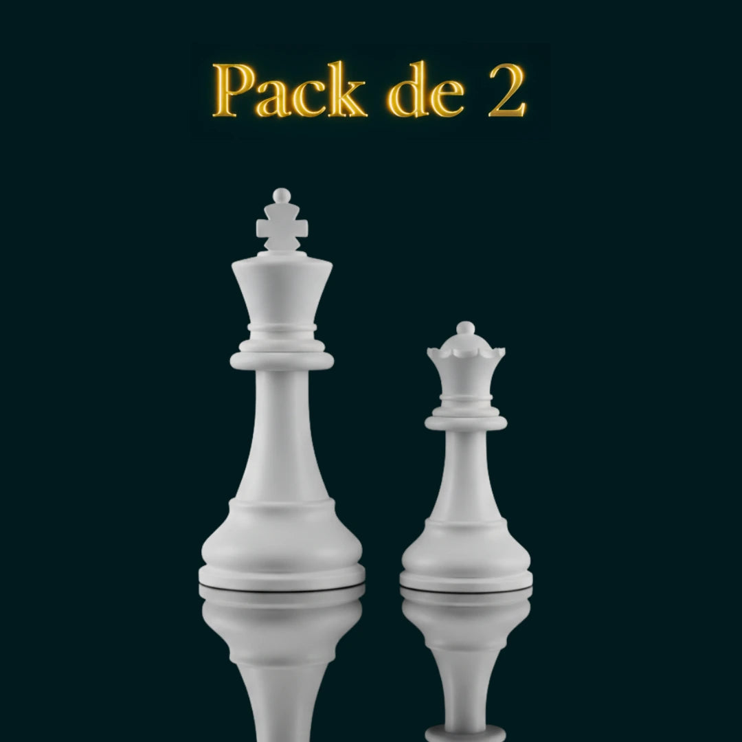 Lot 2 pièces d'échec