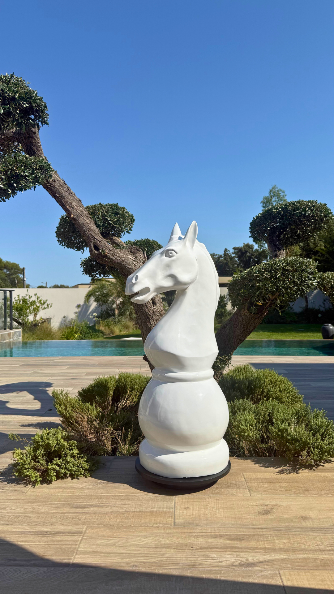 Lot 2 pièces d'échec